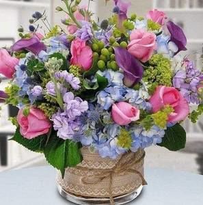 Meet your Posher, Silvia